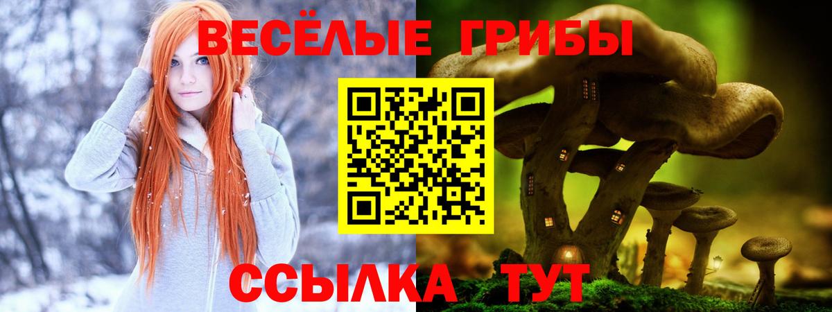 Псилоцибиновые грибы прущие грибы  Вход с VPN  как найти наркотики  Прохладный 